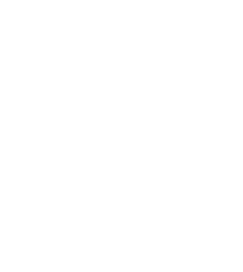 generation axe logo with two guitars crossed